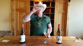 Jabulani Vineyard and Winery - Manage A Cat 2019