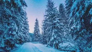 Surah Al-'Abasa + Soft Wind Sounds | By Jafar Ali
