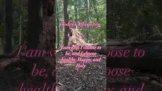 Daily Affirmations in nature, create your peace and Love yourself NOW#dailyaffirmations