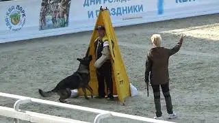 2023 IGP CACT Russia 62 Юлия Тихонова и Вермут фом Хаус Когор (GSD) С92