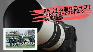 【EOS R5＋RF70-200 F4】1.6倍クロップで競馬の撮影にチャレンジ！