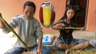 sugarcane juice