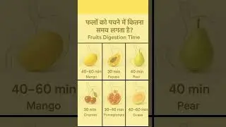 Fruits Digestion Time #shorts #food #healthyfood