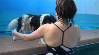 Warm Water Dog Swimming -- Come Swim With Your Dog at Rummy's Beach Club in Spring, Texas