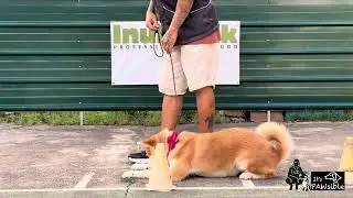 Sot down sit drill