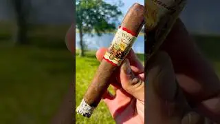 🍂💨 AJ Fernandez New World 💨🍂 #Cigars #cigarsdaily #asmr #asmrsounds #trending #viralvideo