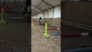 Poney &agrave; vendre - Poney Welsh Montain - equirodi.com
