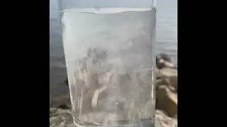 Best Hydrogen Water Bottles on Amazon? 