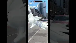 I&rsquo;m a real life Pok&eacute;mon trainer frfr #reshiram #Pok&eacute;monBlack