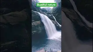 The Beauty of Nature in 15 Seconds 🌳✨#shorts