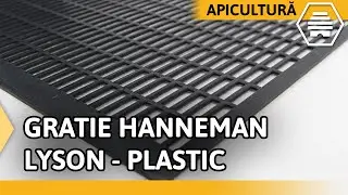 Gratie Hanneman Lyson - plastic
