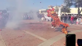 Vietnamese Martyrs Catholic Church Lion Dance 22.01.2023