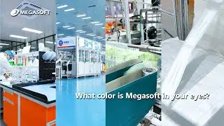What Color is Megasoft?