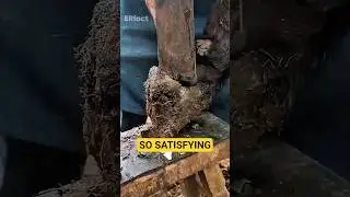 The Most Satisfying Extreme Hoof Restoration Ever ✨