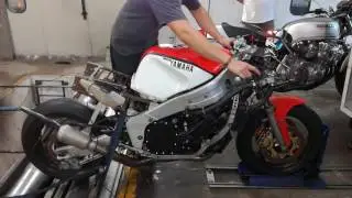 Yamaha FZR 1000 screamer dyno run
