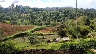 province view.