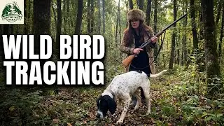Forest pursuit with tracker dog | Wild bird hunting