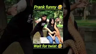 Fake Snake Prank Fun #shortvideo #pranks #shortsvideo #trading #shortvideos #viralshorts