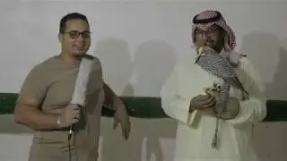 مواصفات الصقر الجير (لقاء البطل / عبد الله زيد العقيلى عن تربية الصقور 5)