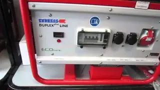 Ремонт и техническое обслуживание генераторов Endress ESE 606 Duplex Plus Line