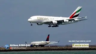 ✈️ Massive Emirates Airbus A380 Landing at San Francisco Int Airport (SFO) DXB to SFO | May  2025 |