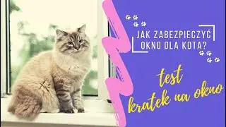 Jak zabezpieczyć okno dla kota | TEST kratki na okno