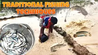 Traditional Fishing Techniques | मछली पकड़ने का तरीका @Niketfishing