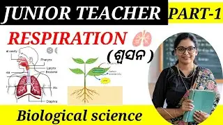 Junior teacher// EVS Respiration for JT / EVS Part -1  #osstet #jts  @LetsDoMemoriesSomething