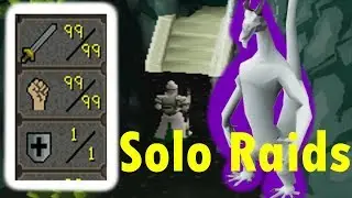 Solo Raids With 1 Def! Pures Can Do Anything V3 [Marathon 6/30]