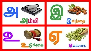 அ ஆ இ ஈ எழுத்தில் தொடங்கும் சொற்கள் |அ ஆ இ ஈ அரிச்சுவடி | @KTSKIDSLEARNING 