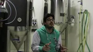 Entrevista Soma Beer