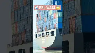 ⚓ Container ship (ESL WASL) 🚢 #explore
