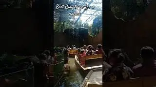 Unique Boat Ride to Watch Animals - Across River #safari #animals #nature #youtubeshorts #shorts
