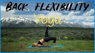 Yoga for Back Flexibility (15min)