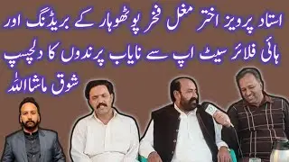 USTAD PERVAIZ AKHTAR MUGHAL || SENIOR PIGEON MASTER OF RWP || MAIN BREEDER LOFT AND HIGH FLYER LOFT