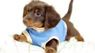 EYE BLEACH