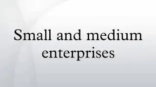 Small and medium enterprises