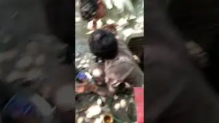 Mehran gear bearing change