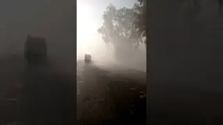 Foggy Morning in Larkana #shorts