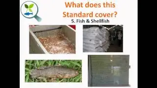 Webinar: QCS Aquaponics GAPs Food Safety Certification Program - 22 October 2014