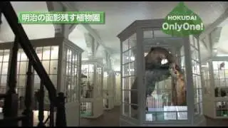明治の面影残す北海道大学植物園 HOKUDAI Only One! No.6