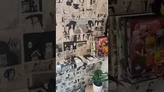 Making A Manga Shelf ‼️