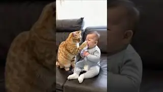 #120 Funniest Cats And Dogs videos 🐶🐱 #funny #animals #cuteanimals