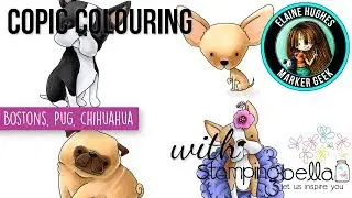 Colouring Dogs with Copic Markers - Stamping Bella Bostons, Chihuahua, Pug rubber stamp set