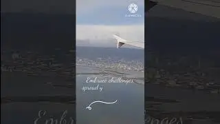 A Motivational quote Flight..#quotefortheday#motivationalvide #success #flight #jet #quotes #shorts