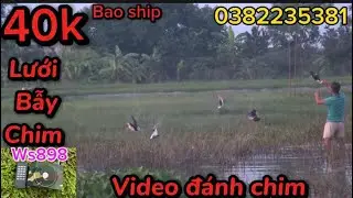 Video bẫy lưới chim tàn hình - mới nhất 2023 giá rẻ 40k - loa gọi mồi chim gà rừng ws898