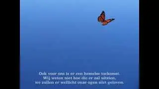 De symboliek van de vlinder