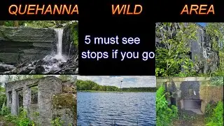 Пять обязательных к посещению мест в заповеднике Quehanna Wild Area