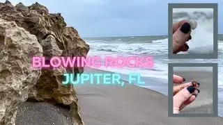 Florida Shelling at Blowing Rocks Nature Preserve | Winter Storm Enzo 2025