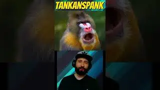 Lighting Up Spark Mandrill - Mega Man X (SNES)